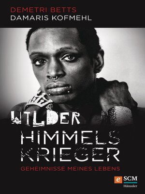cover image of Wilder Himmelskrieger